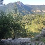 Tartera del Malveí i la Tossa