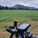 55f08ef6-5fc3-4bfa-ac85-ffb2afb6aae2