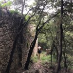 70ce6972-2f7a-4263-a865-1cf0ee123989