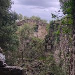 8a48b703-7117-47ea-9ce5-a2b36bd66613