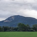 b1d0cb74-242d-4e1d-9505-c75fbdf96b89