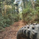 a98a5bb6-3eed-4317-a0d0-d9bdacbb66d1