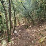 c779d5b0-f231-492e-8fee-7f282e2d135e