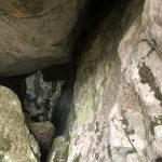 Finestra superior de l'avenc